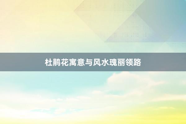 杜鹃花寓意与风水瑰丽领路